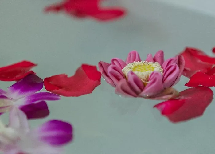 Asanak D'angkor Boutique Hotel Siem Reap